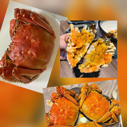 CUA DA CÁI - SIZE 6-7 CON/KG