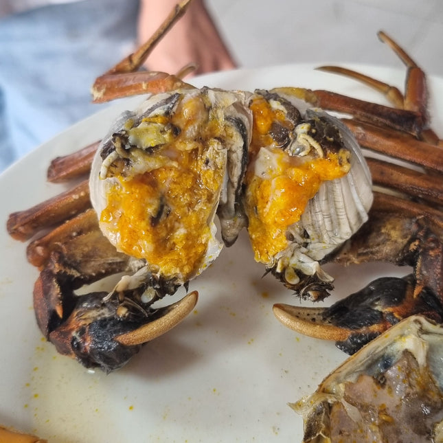 CUA DA ĐỰC - SIZE 5-6 CON/KG