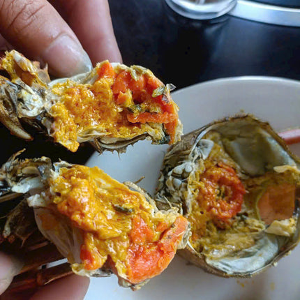 CUA DA CÁI - SIZE 5 CON/KG