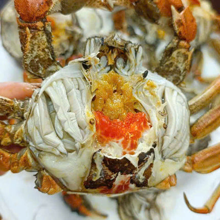 CUA DA ĐỰC - SIZE 4 CON/KG