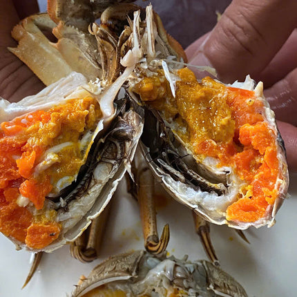 CUA DA CÁI - SIZE 5 CON/KG