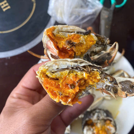 CUA DA CÁI - SIZE 6-7 CON/KG